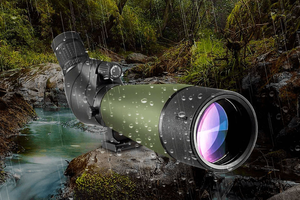 8 Best Spotting Scopes for Digiscoping in 2024