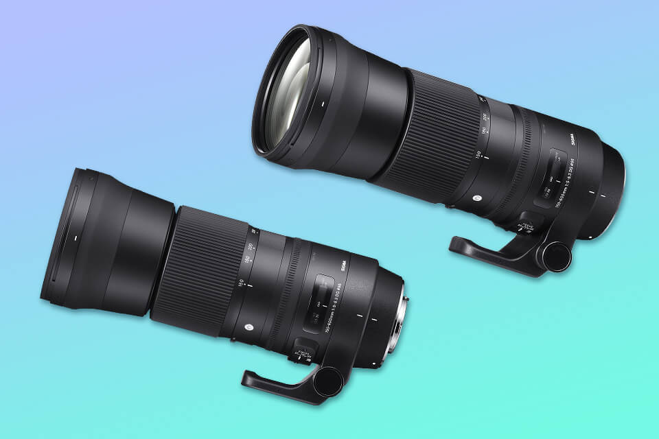 6 Best Telephoto Lenses for Canon in 2024