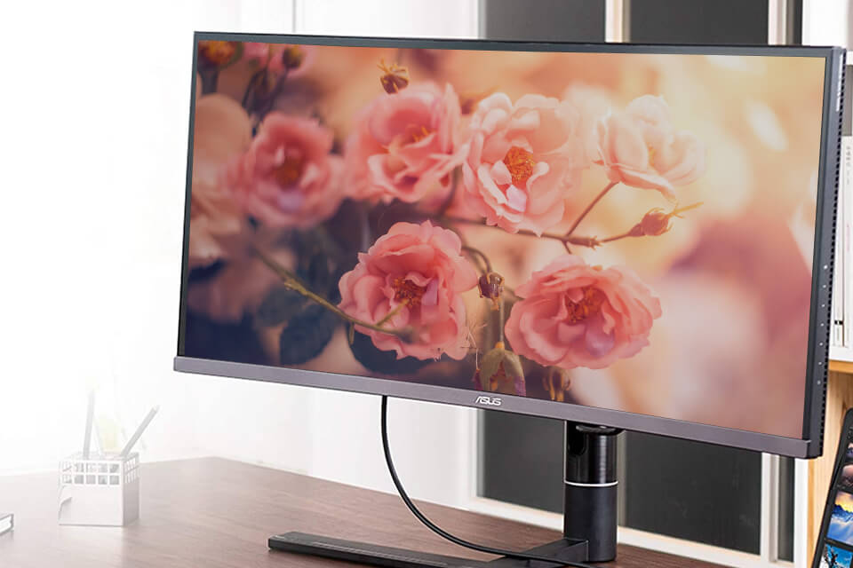 7 Best Thunderbolt Monitors in 2024