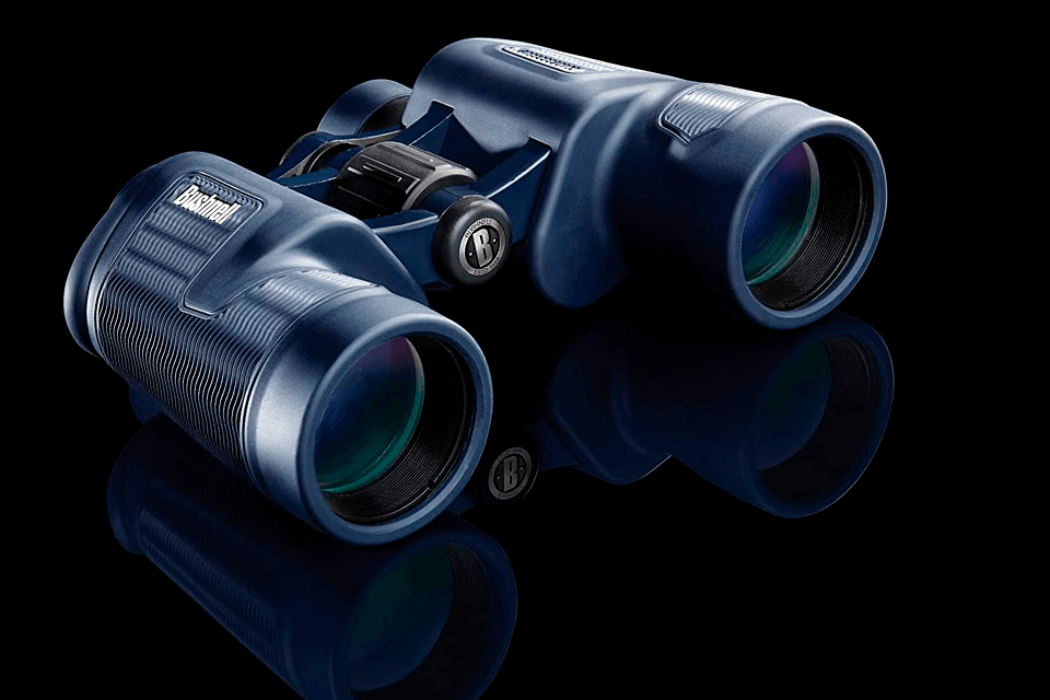 What Are The Best Binoculars For The Money