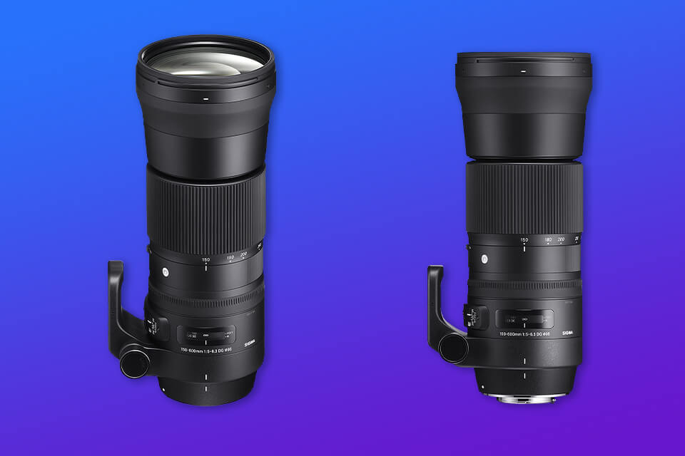 5 Best Lenses for Canon T3i in 2024