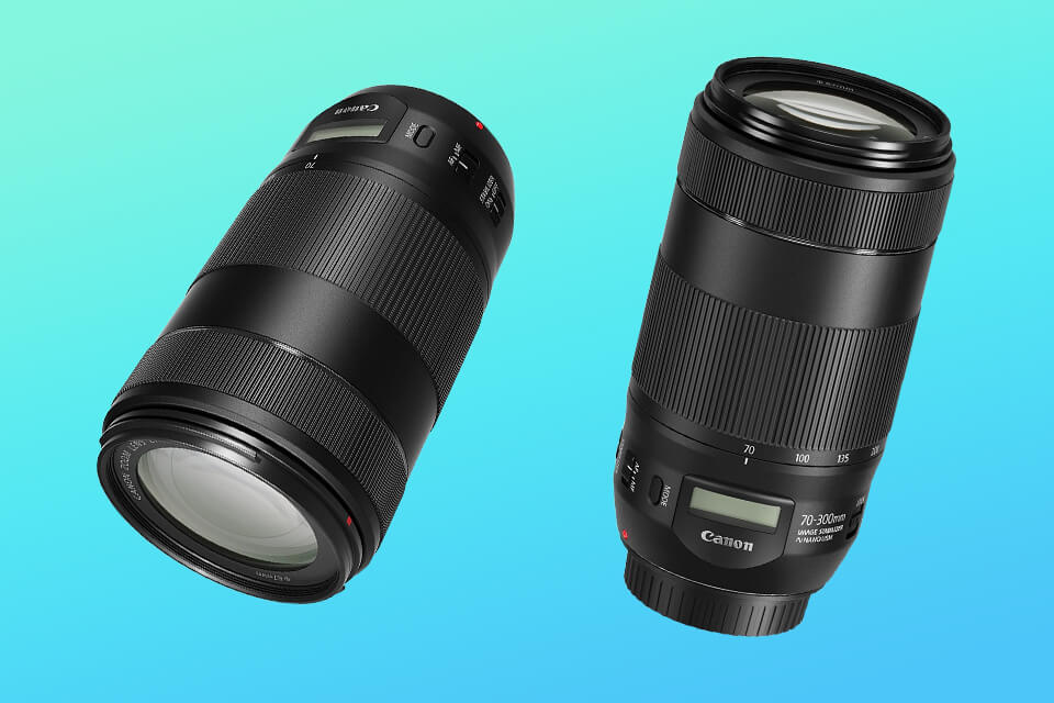 6 Best Telephoto Lenses for Canon in 2024