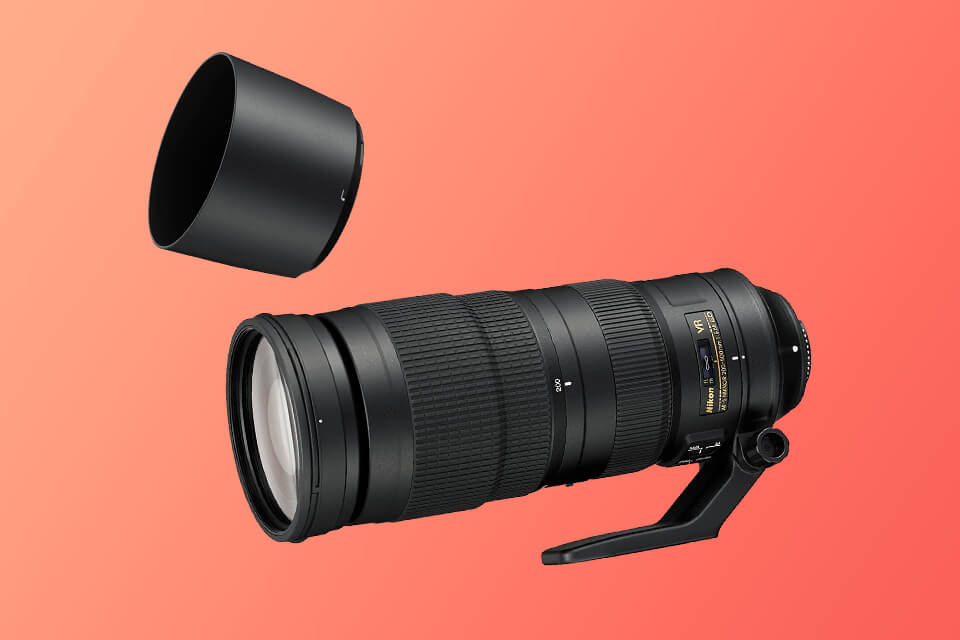 7 Best Telephoto Lenses in 2024