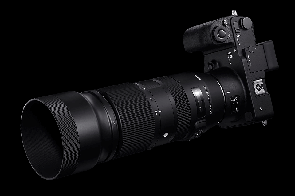 7 Best Lenses for Bird Photography in 2024