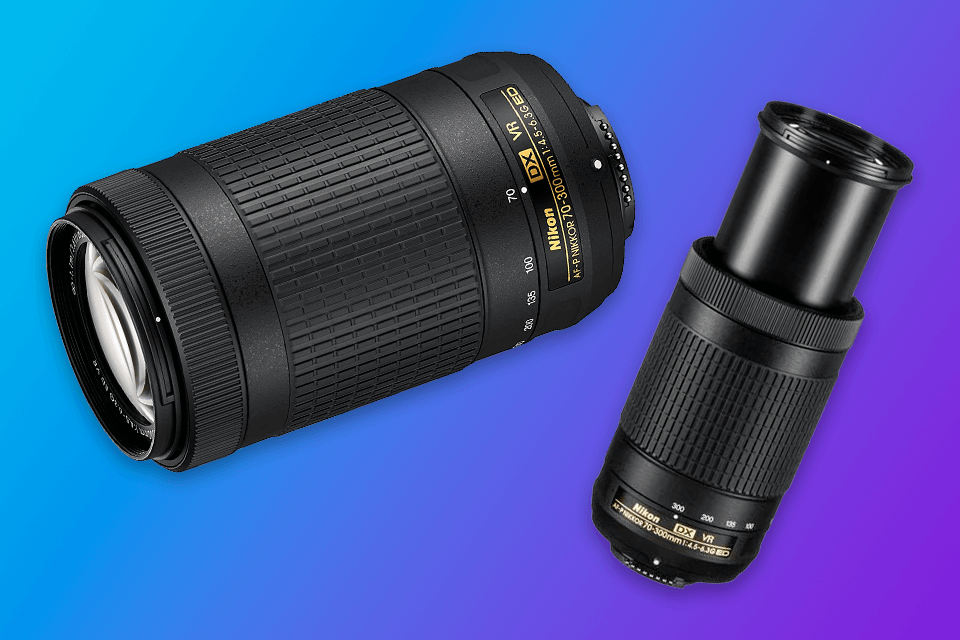 9 Best Lenses For Wildlife Photography In 2024