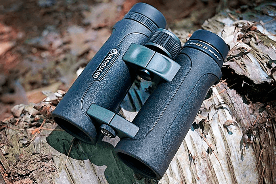 7 Best Binoculars for Yellowstone in 2024