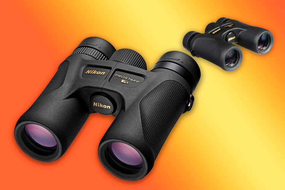 7 Best Compact Binoculars In 2024