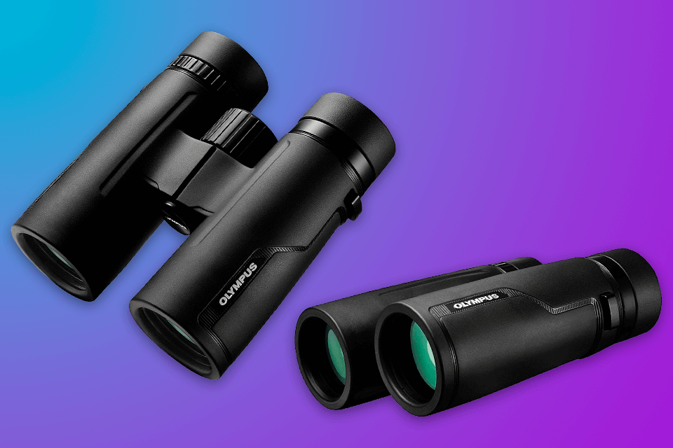 7 Best Binoculars for Whale Watching in 2022