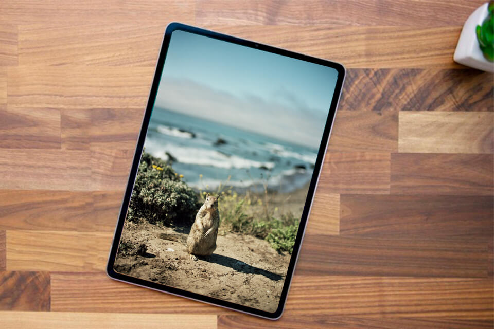 5 Best Apple iPads in 2022 - All Latest Models