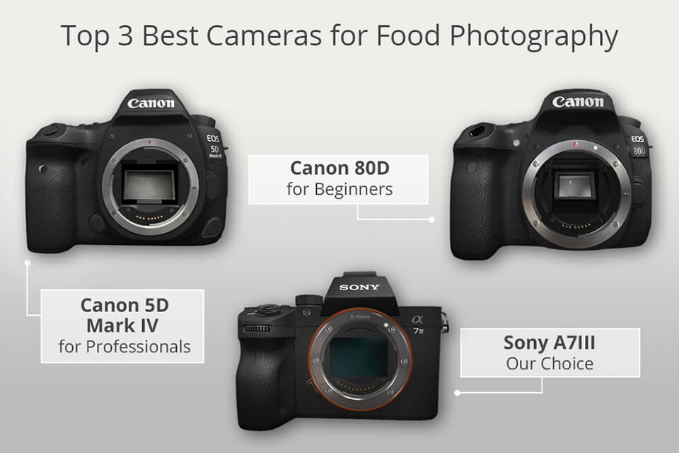 10 Best Cameras For Food Photography In 2021