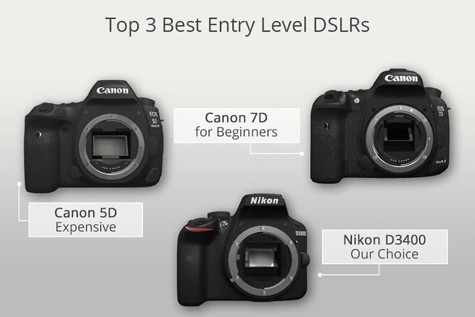 Best Dslr Camera For Amature Photographer