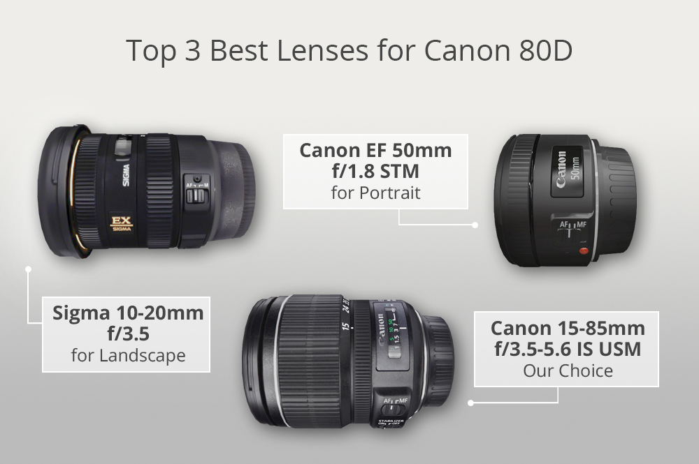 10 Best Lenses for Canon 80D in 2024