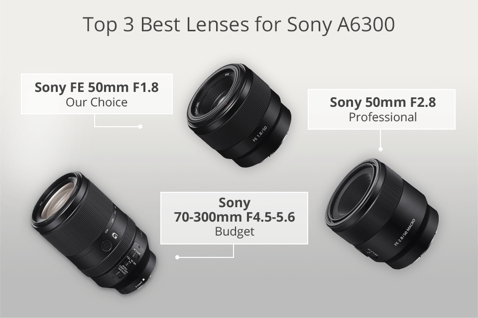 Doctor in de filosofie band Teken 8 Best Lenses for Sony A6300 in 2023