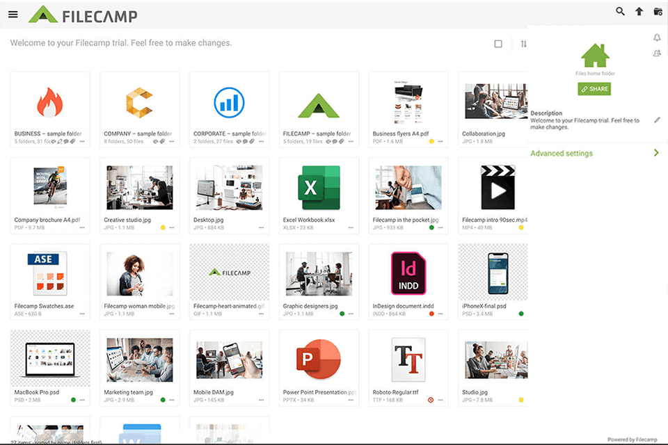 9 Best Digital Asset Management Software For Photographers 