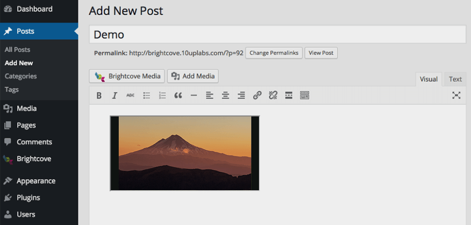 brightcove interface