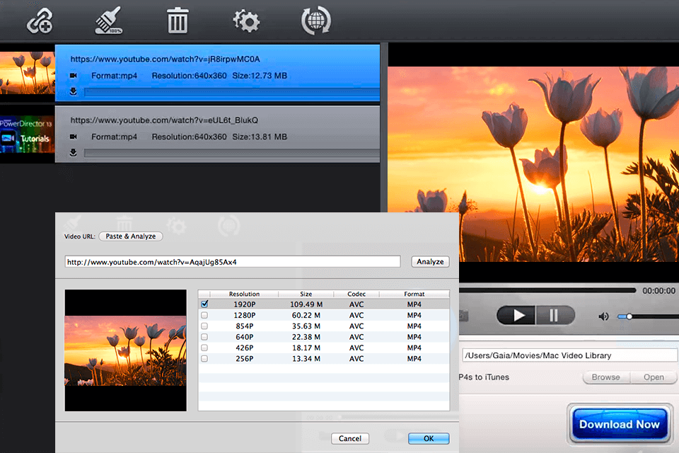 youtube downloader for mac os x free download