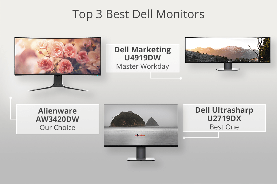 The 6 Best Monitors for 2024