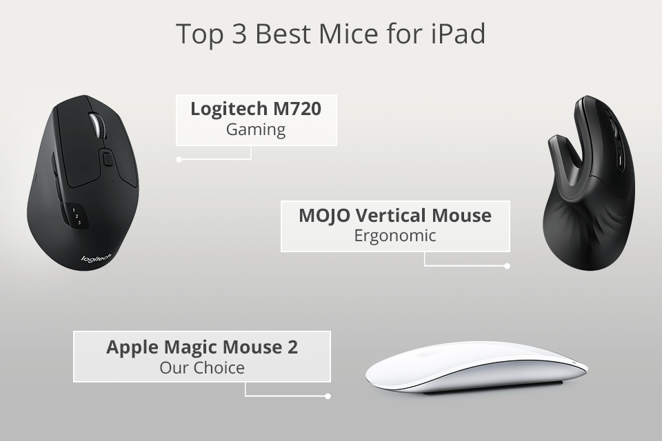9 Best Mice in 2023: Tested