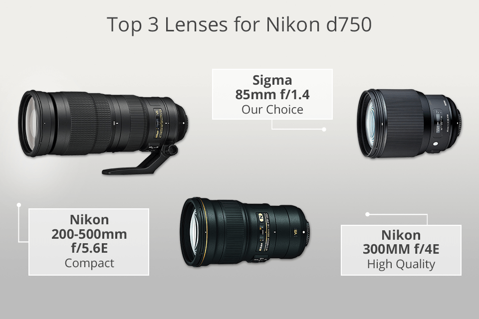Integraal Bestaan speelgoed 6 Best Lenses for Nikon D750 in 2023