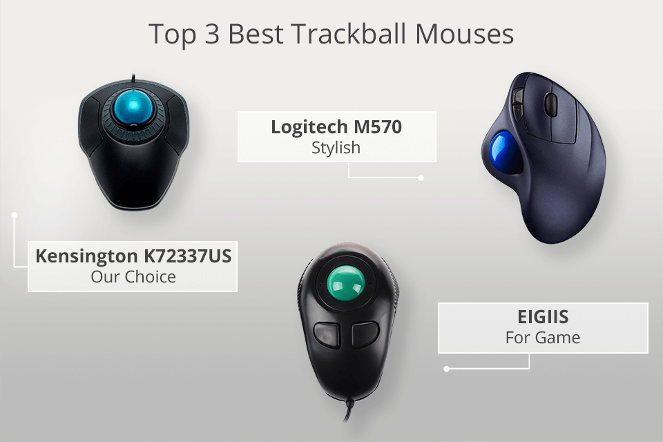8 Trackball Mice 2023: Pros &