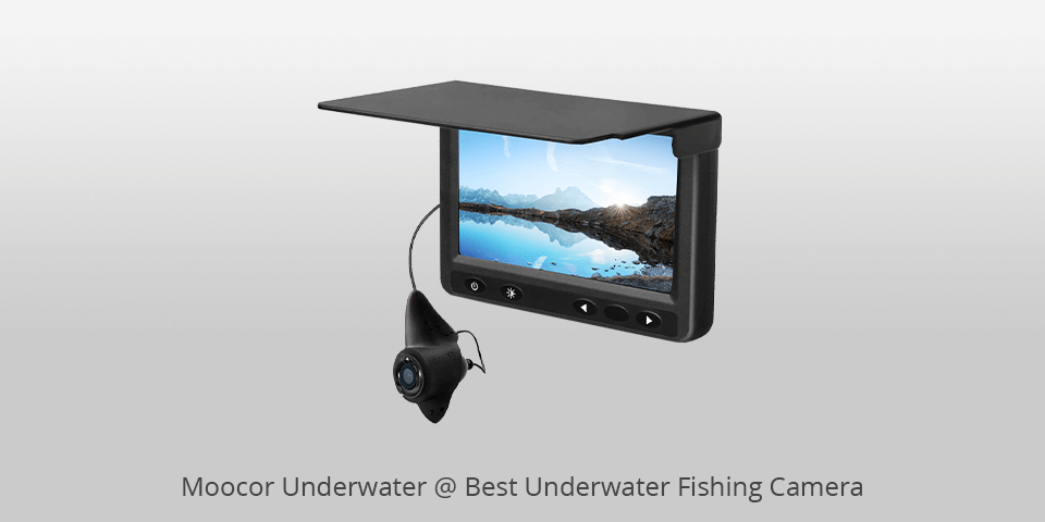 7 Best Underwater Fishing Cameras in 2024