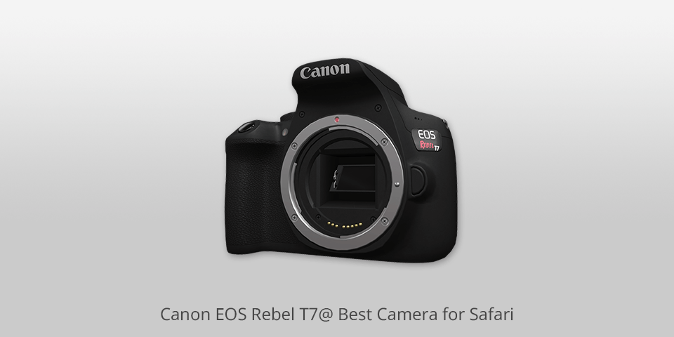 canon eos rebel t7 cameras for safari