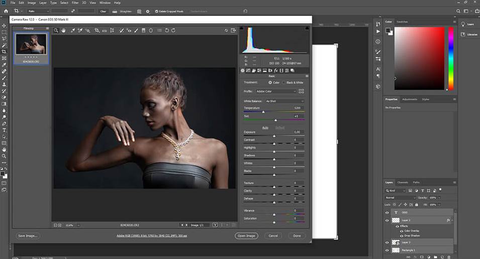 adobe photoshop cs4 cr2 plugin download