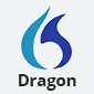 dragon professional individual logo