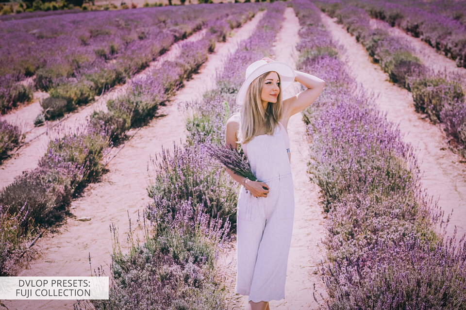 dvlop presets fuji collection