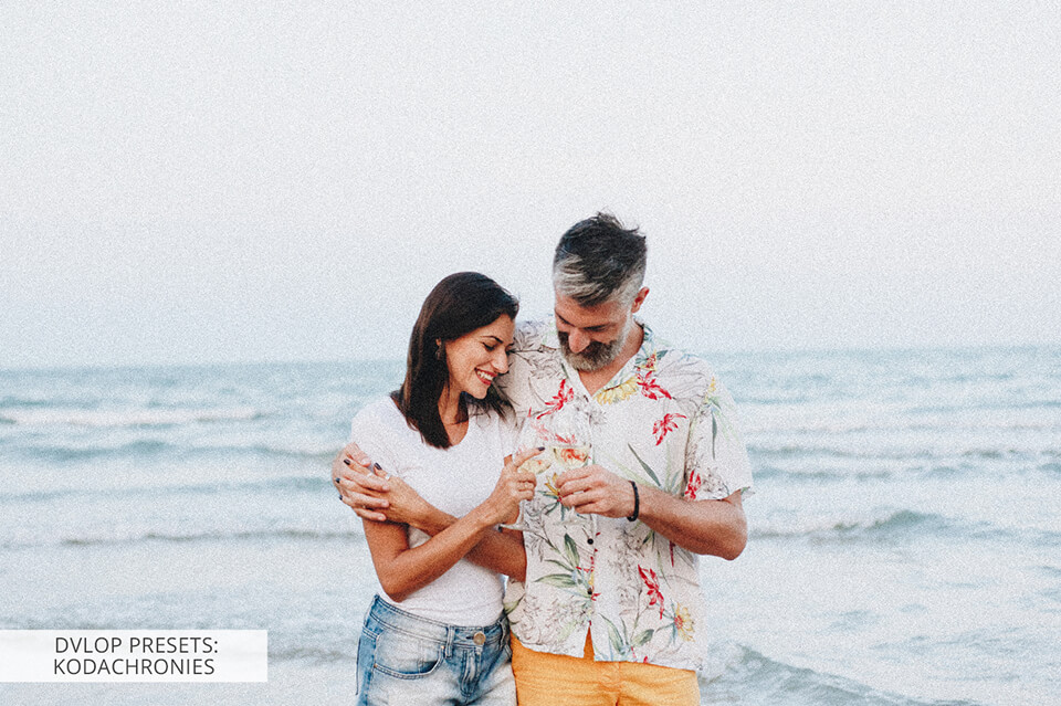 dvlop presets kodachronies collection