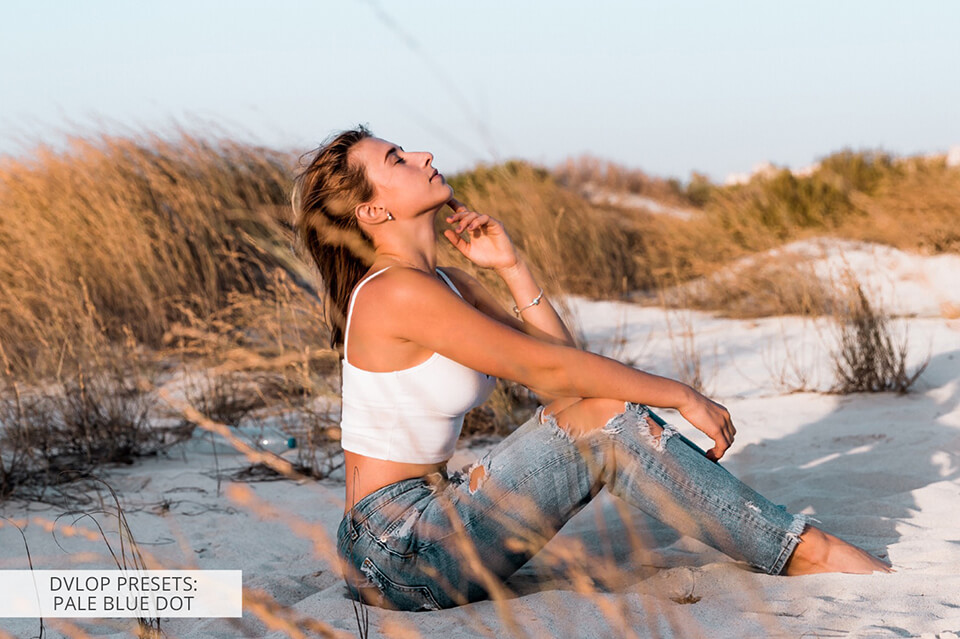 dvlop presets pale blue dot