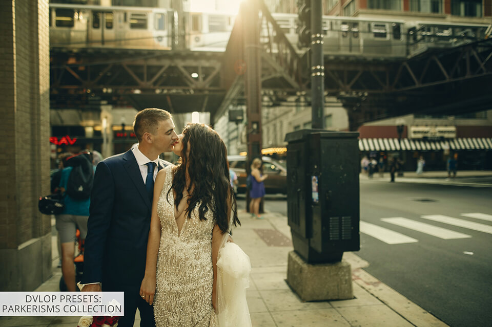 dvlop presets parkerisms collection