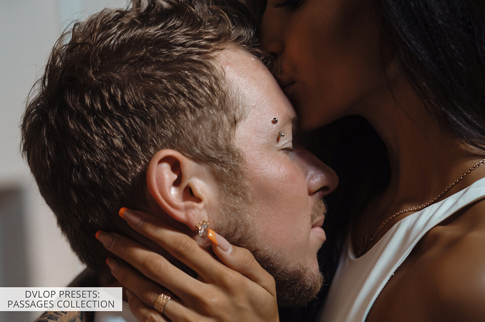 dvlop presets passages collection