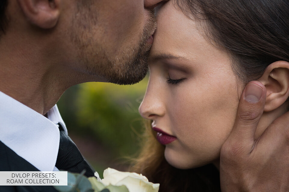 dvlop presets roam collection