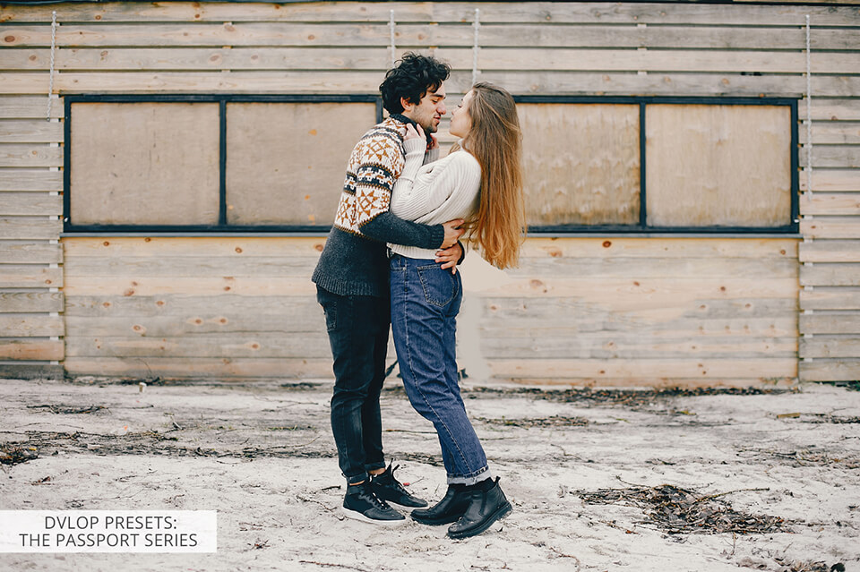 dvlop presets passport series