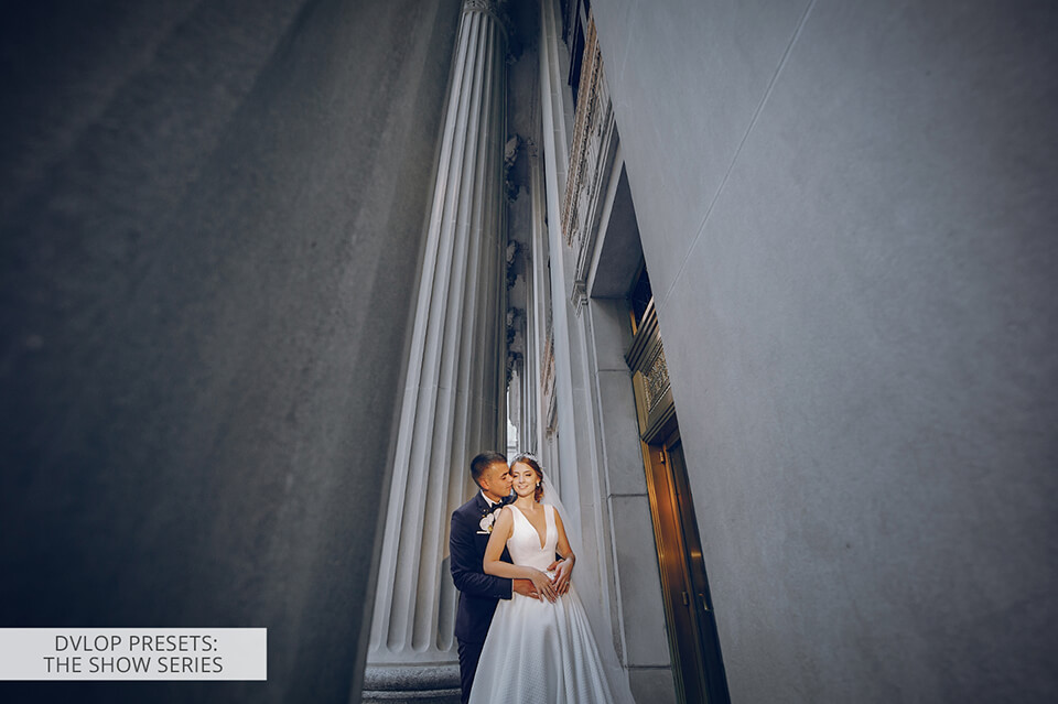 dvlop presets the show series