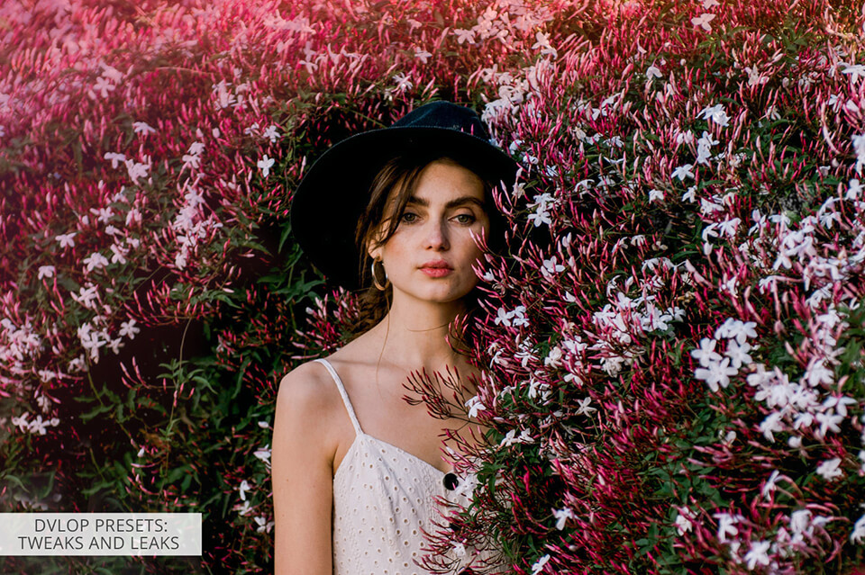 dvlop presets tweaks and leaks