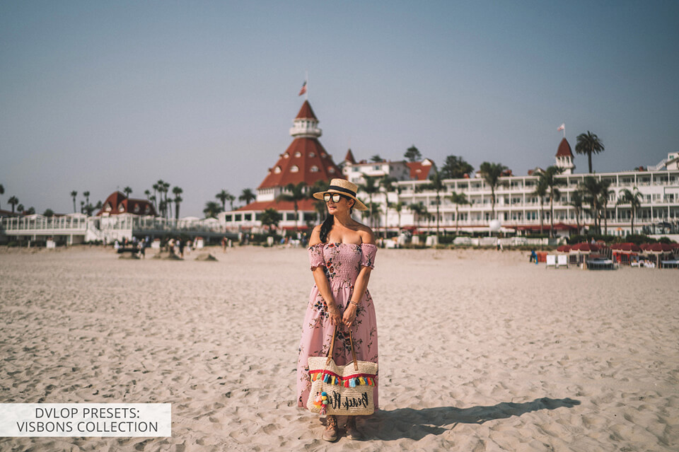 dvlop presets visbons collection