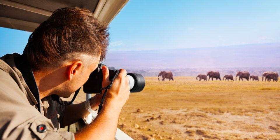 easy to use camera for safari