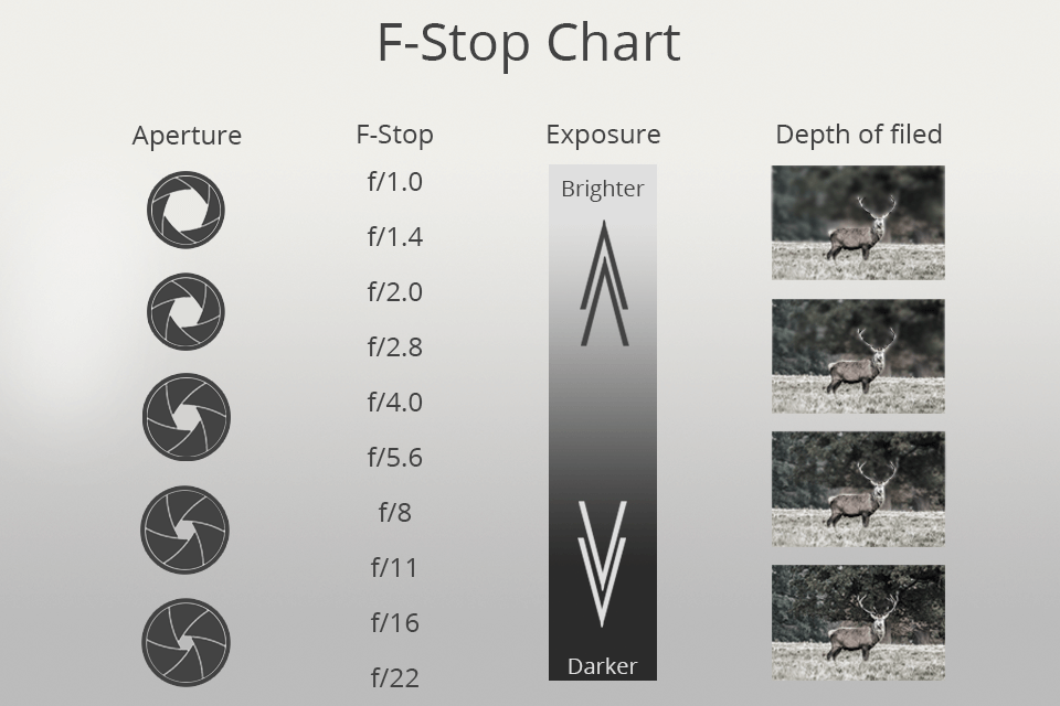  Photography F-Stop Chart Camera Aperture Value with