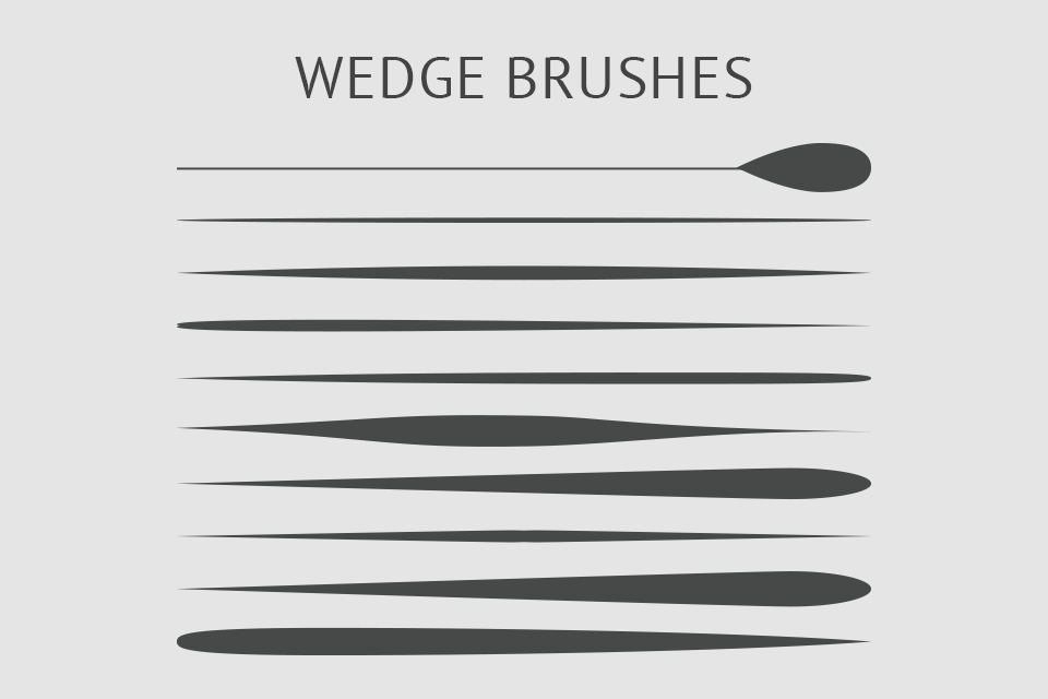 bristle brush illustrator download