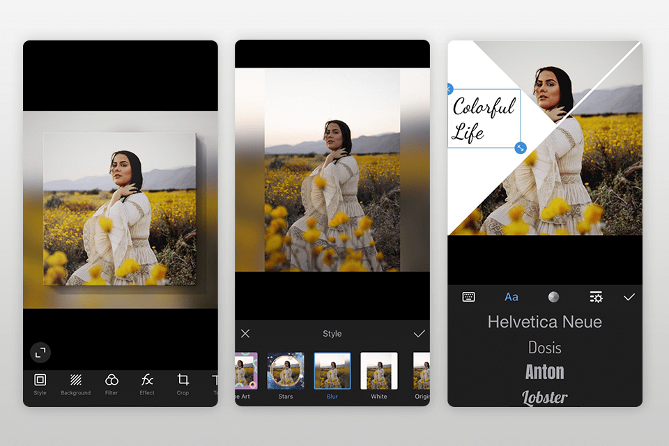 12 Best Software for Photo Borders in 2024