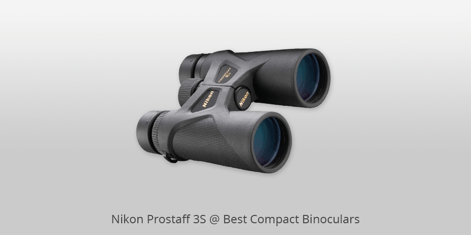 7 Best Compact Binoculars In 2024