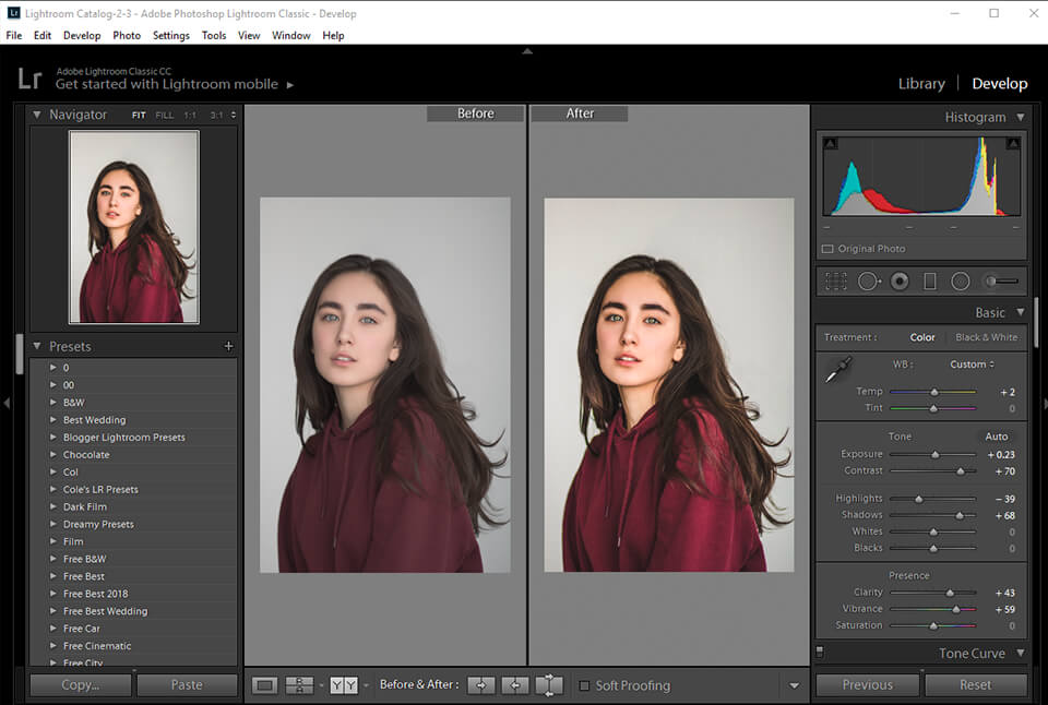 how much does adobe lightroom cost