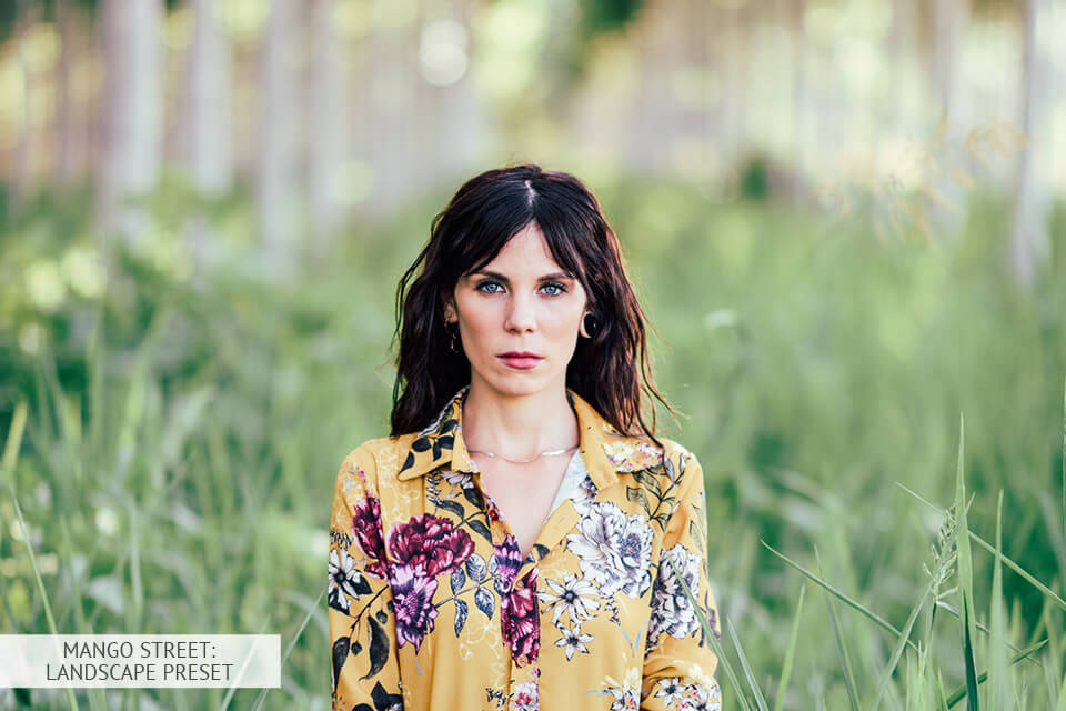 شارع المانجو المسبقة الصنع المناظر الطبيعية