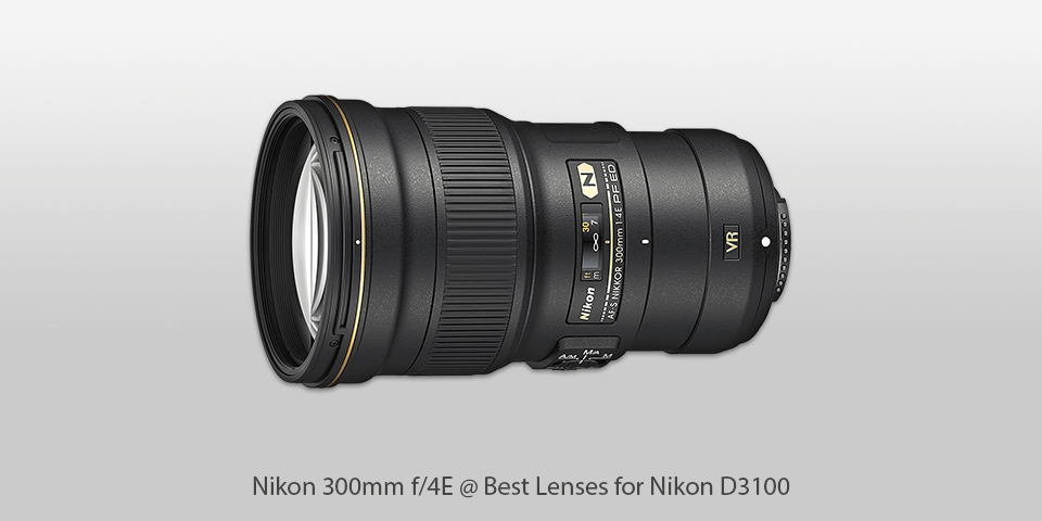 Maak leven ambitie oppakken 8 Best Lenses for Nikon D3100 in 2023