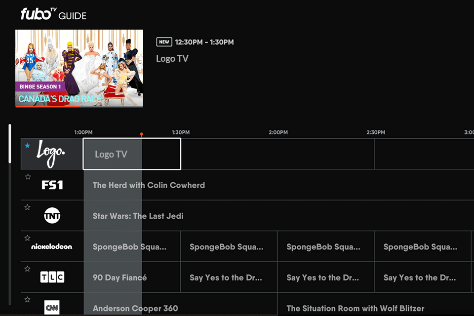 How to Watch Logo TV Outside the US in 2024?
