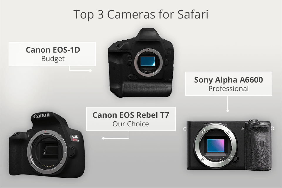 top camera for safari