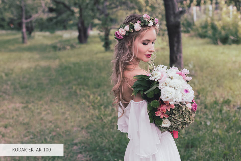 vision kodak ektar 100 lut