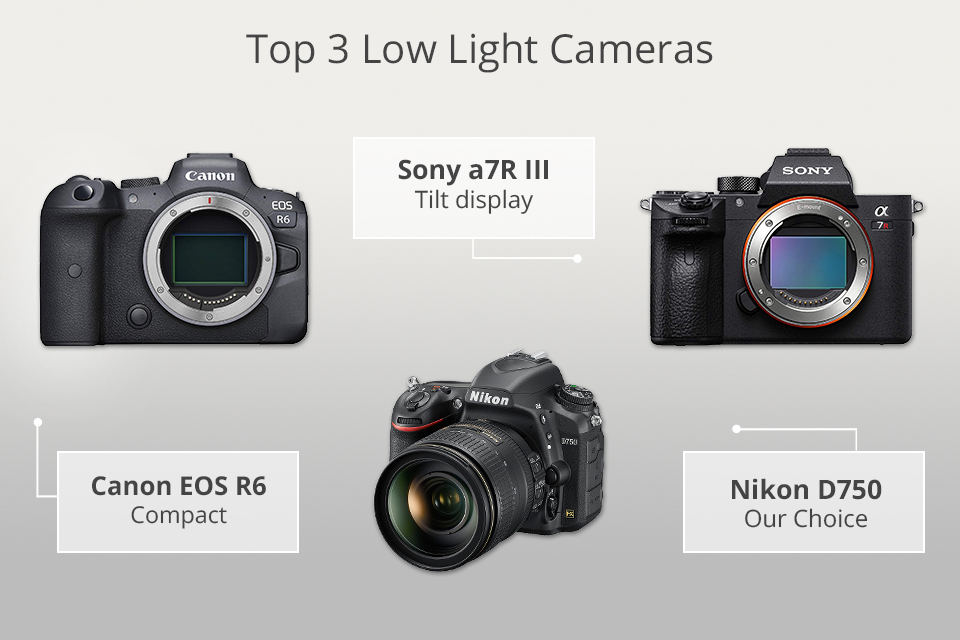 Ægte Monument chauffør 15 Best Low Light Cameras in 2023 - What Makes a Good Low Light Camera?